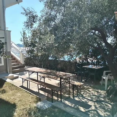 Domagoj * ביבינייה