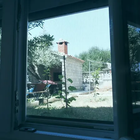 Domagoj